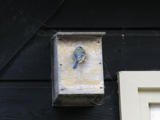 HWK2010 232.jpg